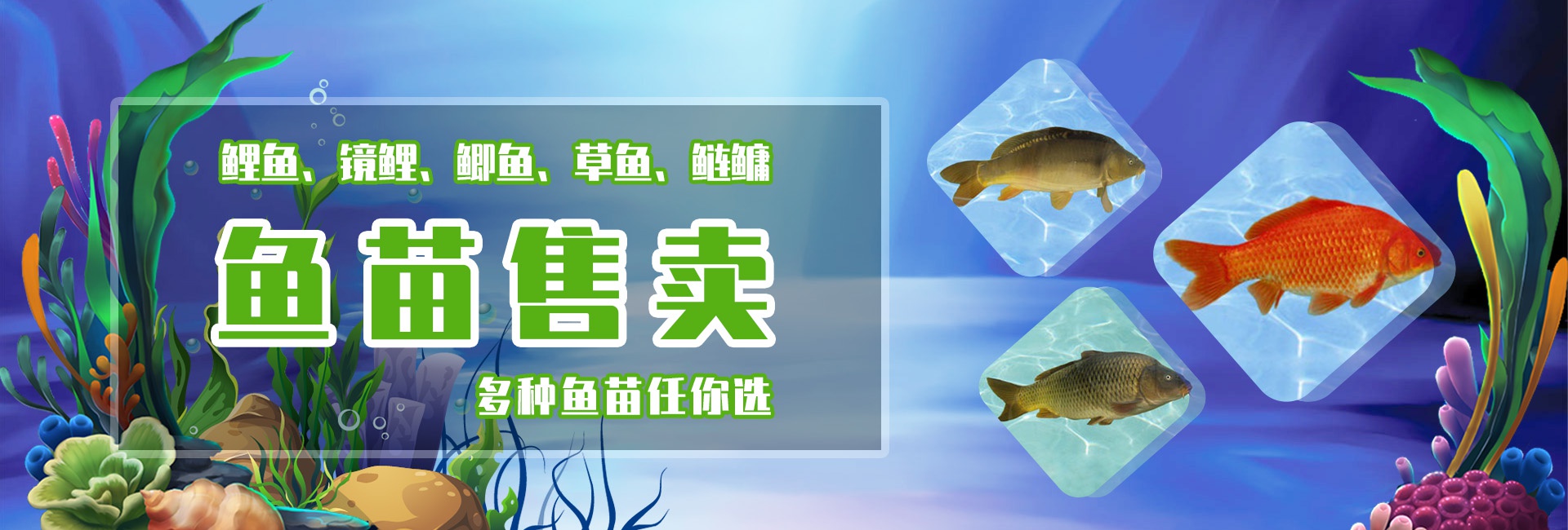 &#20964;&#20976;&#40;&#20013;&#22269;&#41;&#23448;&#26041;&#32593;&#31449;&#45;&#30331;&#24405;&#20837;&#21475;