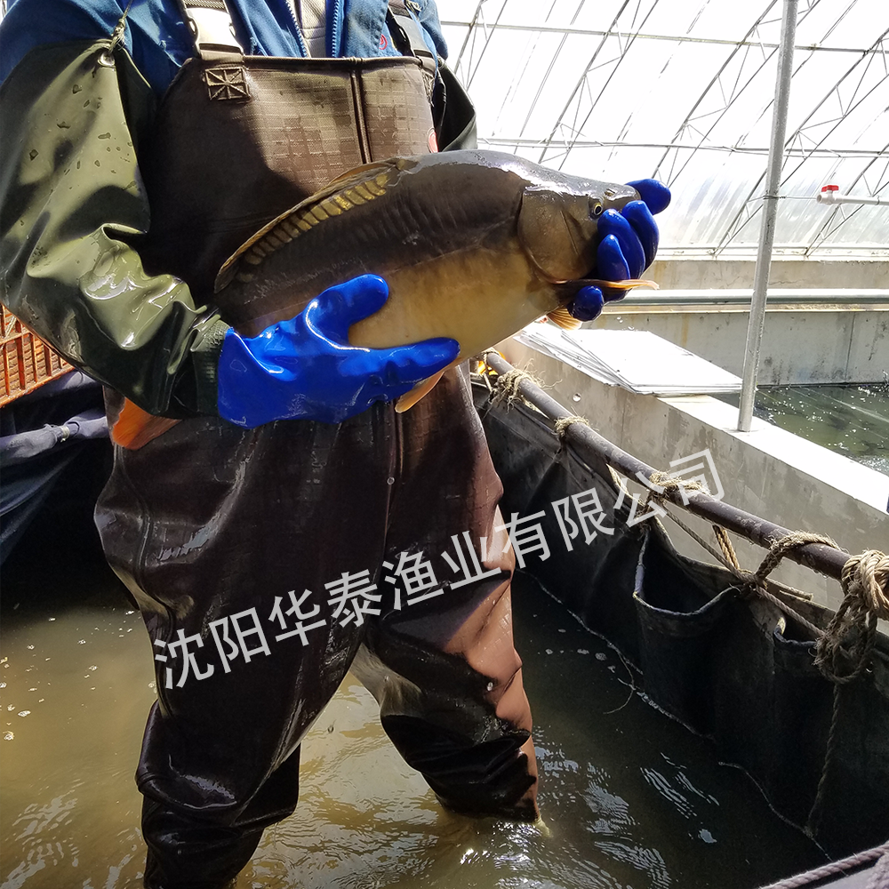 &#20964;&#20976;&#40;&#20013;&#22269;&#41;&#23448;&#26041;&#32593;&#31449;&#45;&#30331;&#24405;&#20837;&#21475;