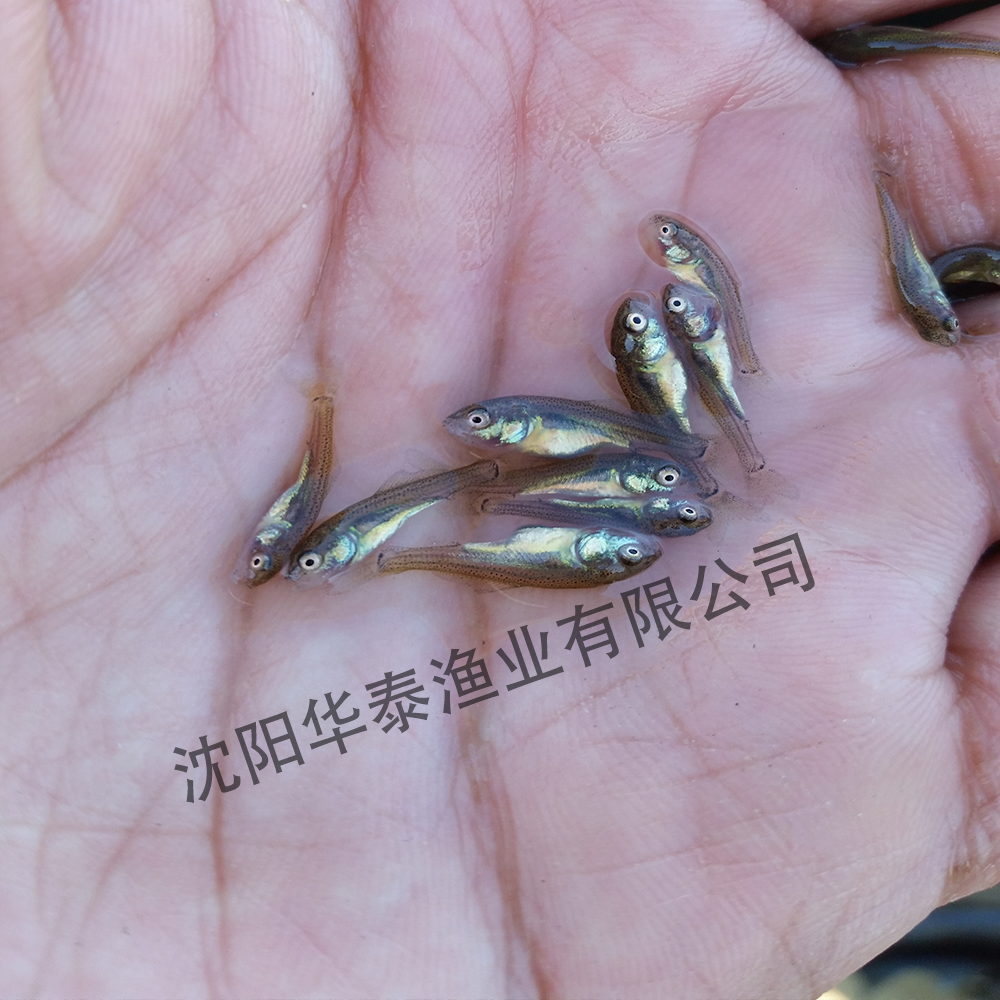 &#20964;&#20976;&#40;&#20013;&#22269;&#41;&#23448;&#26041;&#32593;&#31449;&#45;&#30331;&#24405;&#20837;&#21475;