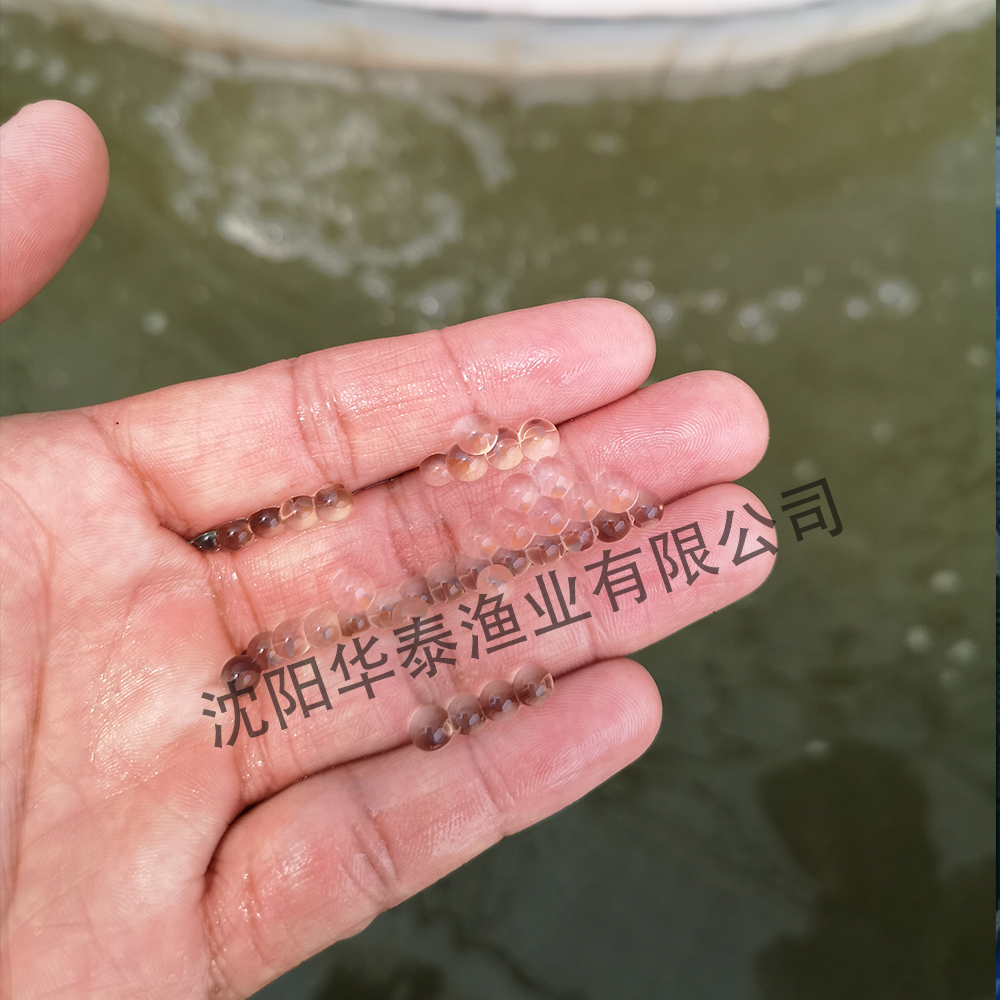 &#20964;&#20976;&#40;&#20013;&#22269;&#41;&#23448;&#26041;&#32593;&#31449;&#45;&#30331;&#24405;&#20837;&#21475;