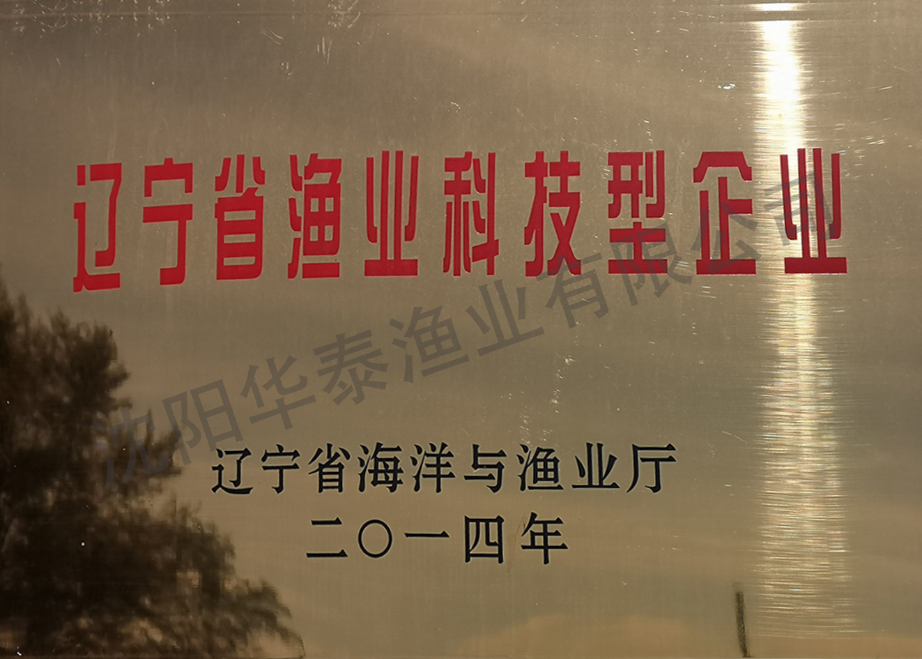 &#20964;&#20976;&#40;&#20013;&#22269;&#41;&#23448;&#26041;&#32593;&#31449;&#45;&#30331;&#24405;&#20837;&#21475;