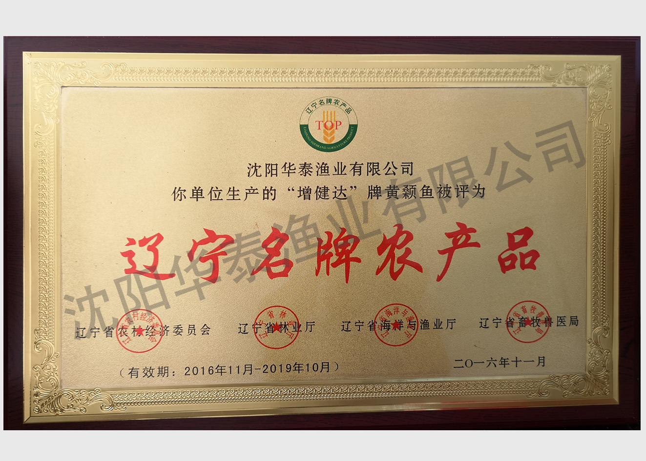 &#20964;&#20976;&#40;&#20013;&#22269;&#41;&#23448;&#26041;&#32593;&#31449;&#45;&#30331;&#24405;&#20837;&#21475;