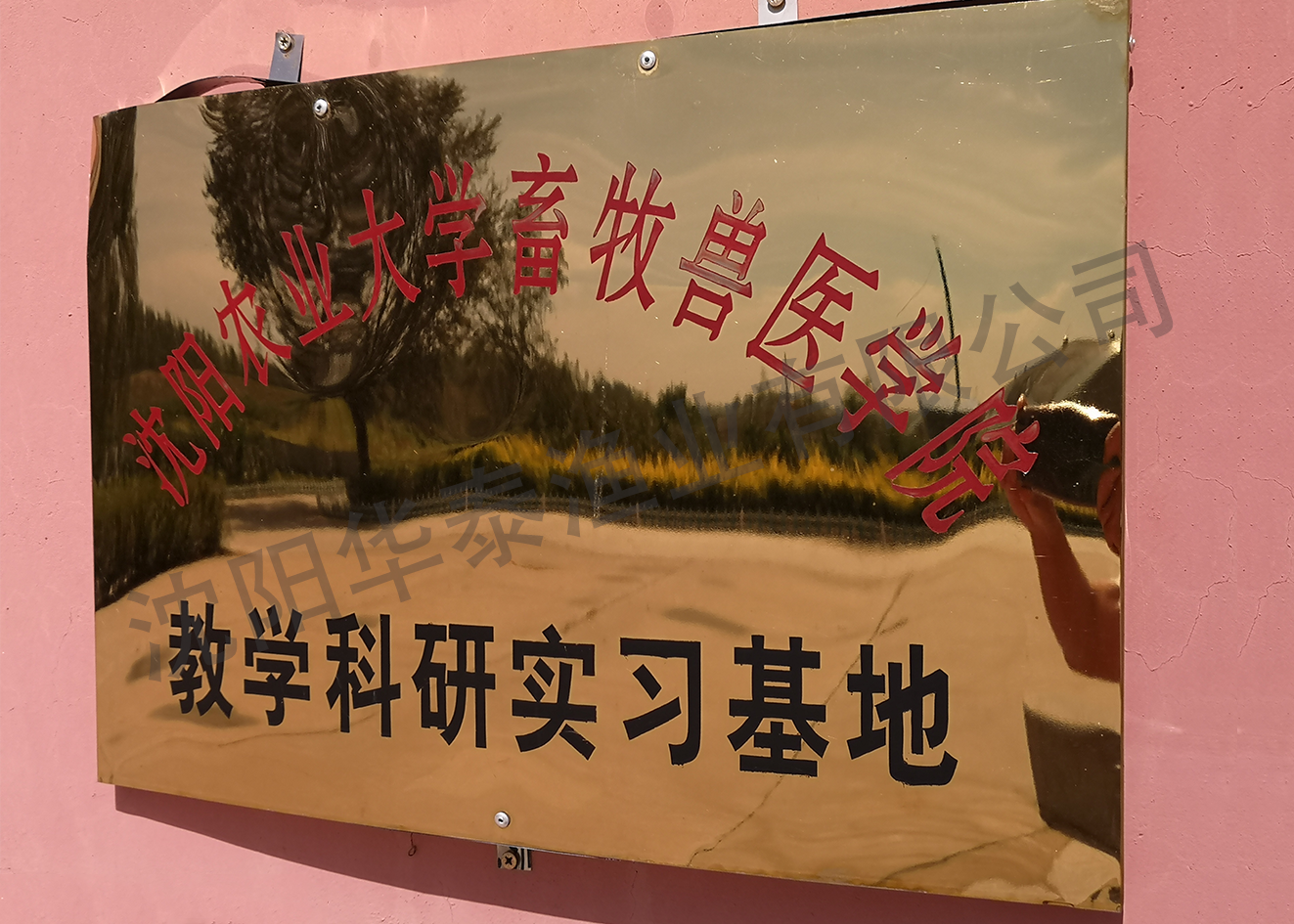 &#20964;&#20976;&#40;&#20013;&#22269;&#41;&#23448;&#26041;&#32593;&#31449;&#45;&#30331;&#24405;&#20837;&#21475;