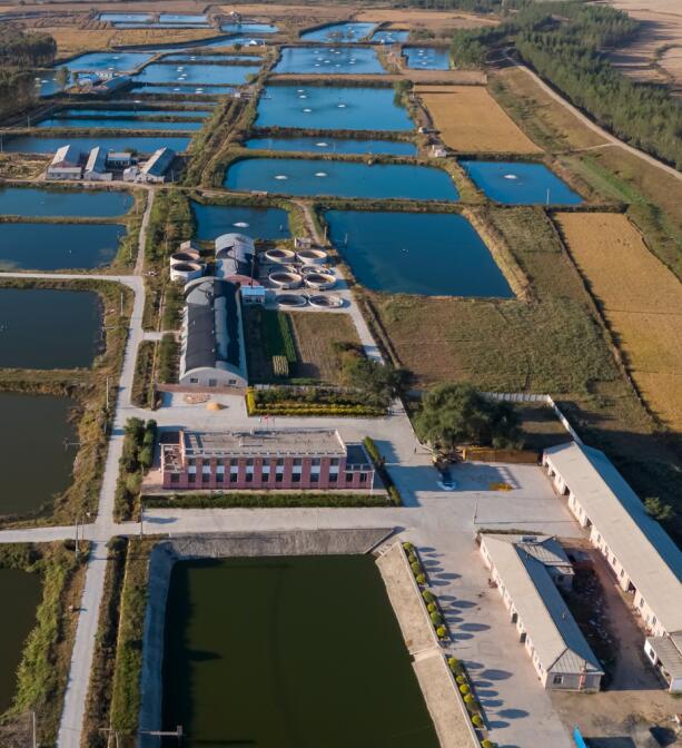 凤凰(中国)官方网站-登录入口
